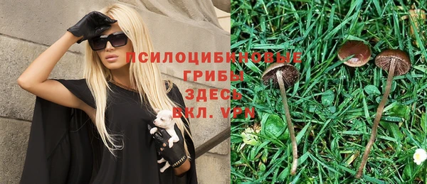 альфа пвп Среднеуральск