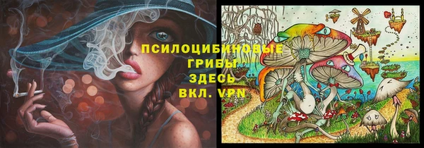 крисы Алексеевка
